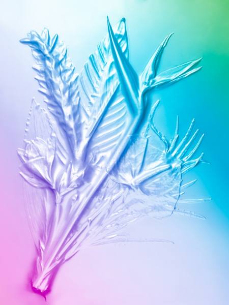 Photograph Julien Palast Exxotica on One Eyeland